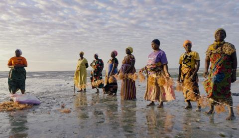 Women at seashore holding seaweed