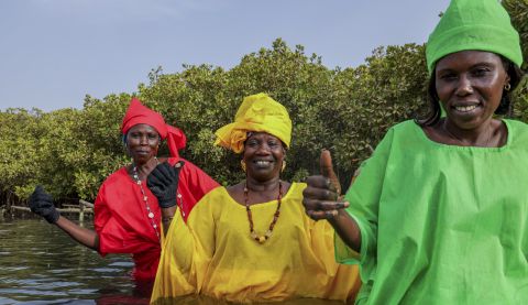 Amy Thior (in yellow), with the local women's group, who farm oysters and lead climate adaptation on Djirnda Island.