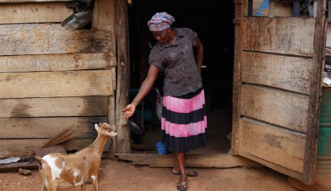 Woman playing with goat
