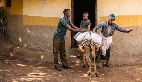 A family loading their items on a donkey