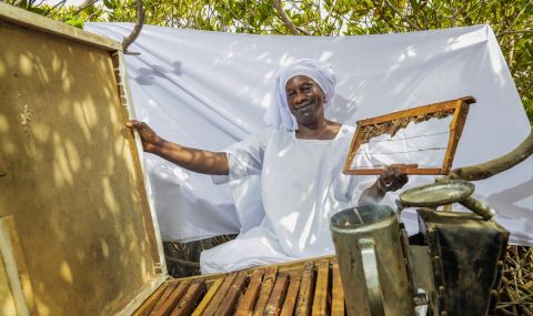 Awa, president of the local women's group, reviving the tradition of beekeeping on the disappearing island of Djirnda 