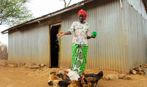 Woman feeding her chickens