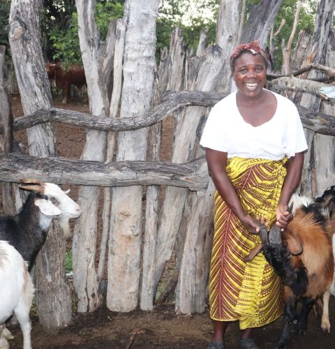 Woman holding goats