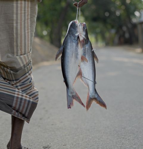 man bringing fish home