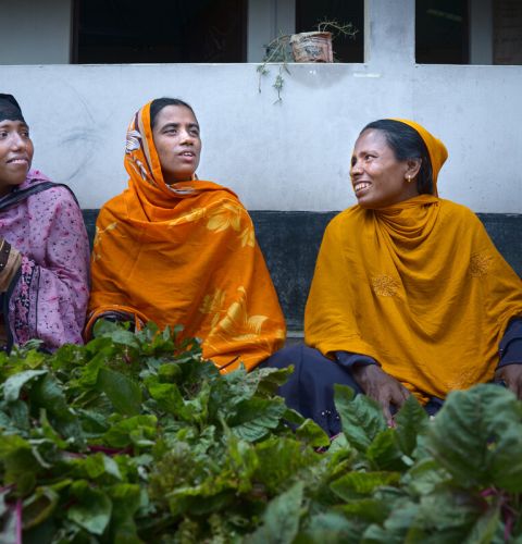 Women selling vegetables at a farmer's market