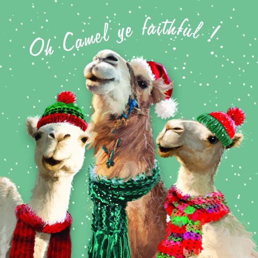 Camel photo card