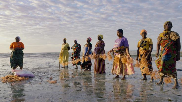 Women at seashore holding seaweed