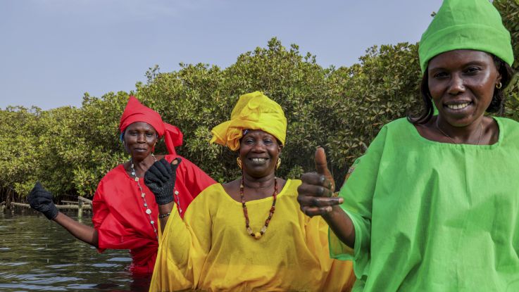 Amy Thior (in yellow), with the local women's group, who farm oysters and lead climate adaptation on Djirnda Island.
