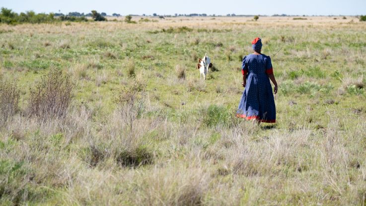Woman walking away from camera