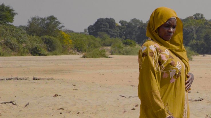 Woman standing on arid land